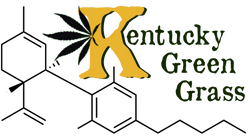 Kentucky Green Grass